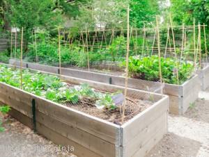 vegetable-garden-bed-design-20_11 Зеленчукова градина легло дизайн