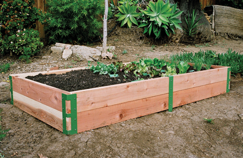 vegetable-garden-bed-design-20_20 Зеленчукова градина легло дизайн