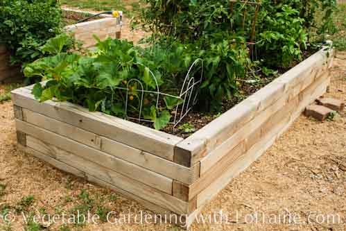 vegetable-garden-bed-design-20_5 Зеленчукова градина легло дизайн