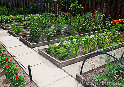 vegetable-garden-beds-30_16 Зеленчукова градина легла