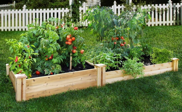 vegetable-garden-beds-30_7 Зеленчукова градина легла