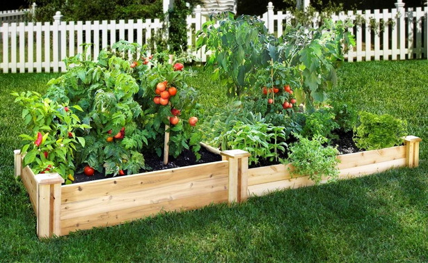 vegetable-garden-design-raised-beds-09_9 Зеленчукова градина дизайн повдигнати легла
