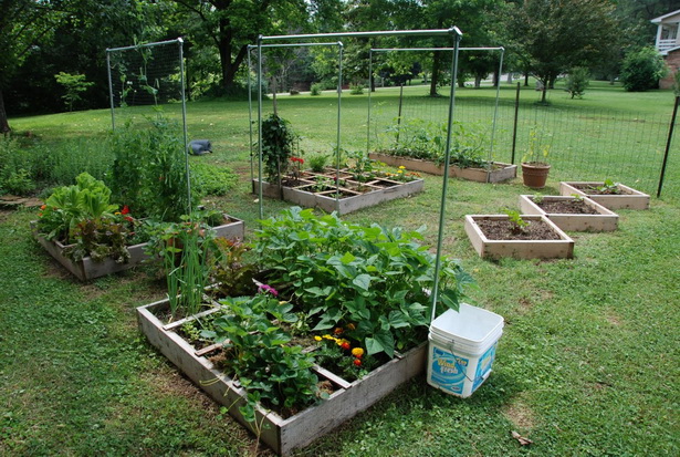 vegetable-garden-designs-and-ideas-44_17 Дизайн и идеи за зеленчукова градина