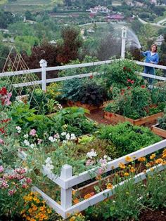 vegetable-garden-designs-and-ideas-44_18 Дизайн и идеи за зеленчукова градина