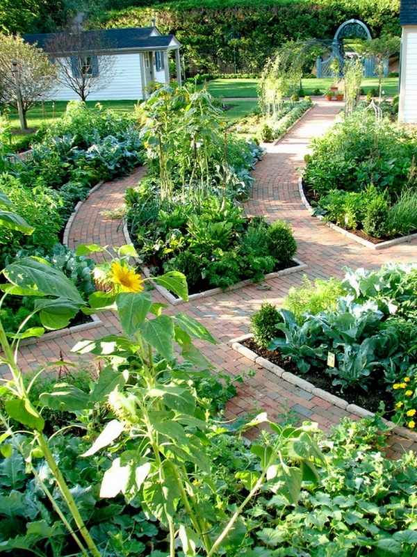 vegetable-garden-designs-and-ideas-44_19 Дизайн и идеи за зеленчукова градина