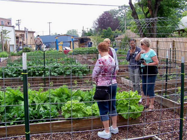vegetable-garden-fence-35_11 Зеленчукова градина ограда