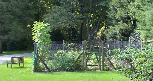 vegetable-garden-fence-35_14 Зеленчукова градина ограда