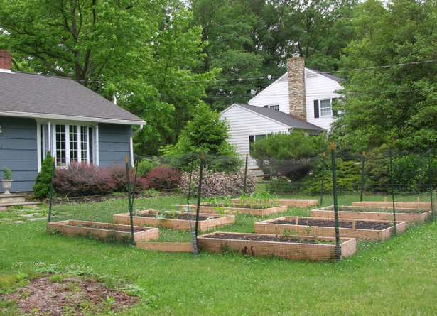 vegetable-garden-fence-35_9 Зеленчукова градина ограда