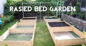 vegetable-garden-ideas-and-designs-26_12 Идеи и дизайн за зеленчукова градина