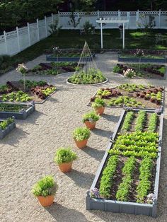 vegetable-garden-landscaping-ideas-52_18 Зеленчукова градина идеи за озеленяване