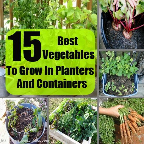 vegetable-garden-planters-87_18 Зеленчукови градински саксии