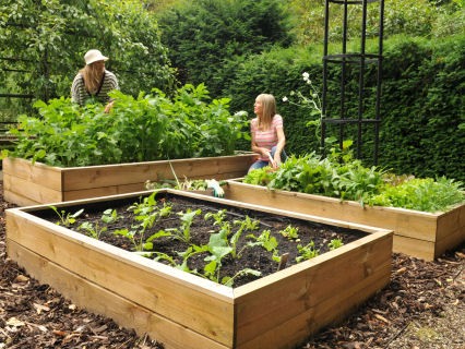 vegetable-garden-planters-87_4 Зеленчукови градински саксии