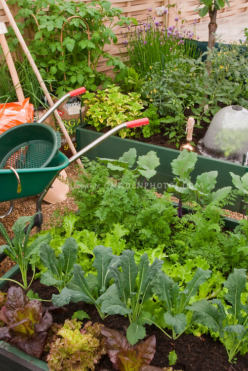 vegetable-garden-plants-38_17 Зеленчукови градински растения