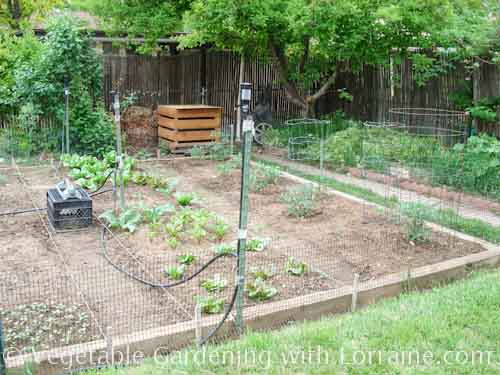 vegetable-gardening-for-beginners-12_7 Зеленчуково градинарство за начинаещи