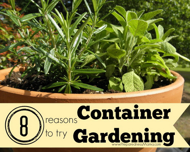 vegetable-gardening-in-containers-28_12 Зеленчуково градинарство в контейнери
