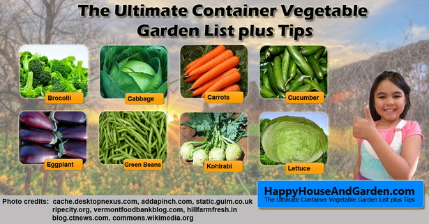 vegetable-gardening-in-containers-28_13 Зеленчуково градинарство в контейнери