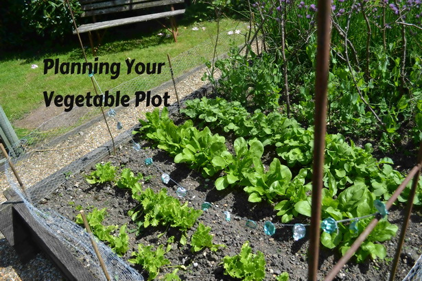 vegetable-plot-83_19 Зеленчуков парцел