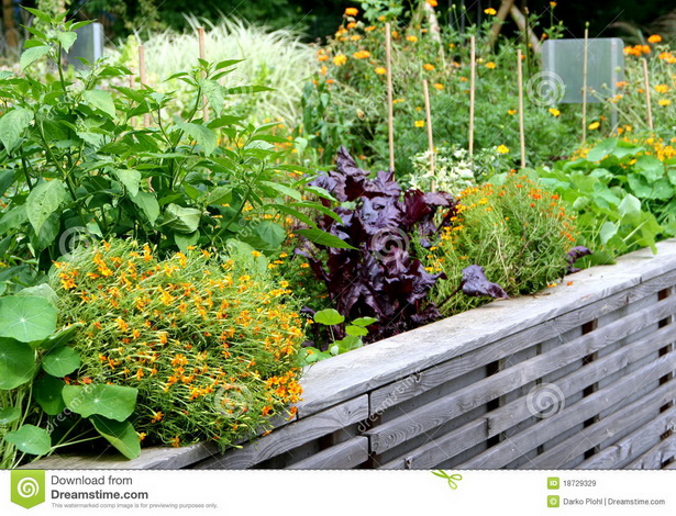 Зеленчуци за повдигнати градински легла