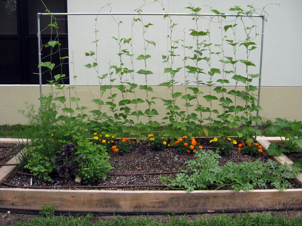vegetables-for-raised-garden-beds-79_13 Зеленчуци за повдигнати градински легла