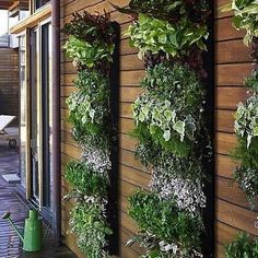 vertical-herb-garden-design-32_5 Вертикална билкова градина дизайн
