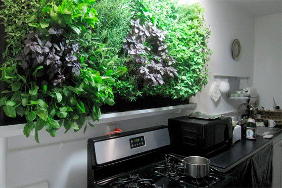 vertical-kitchen-herb-garden-48_10 Вертикална кухня билка градина