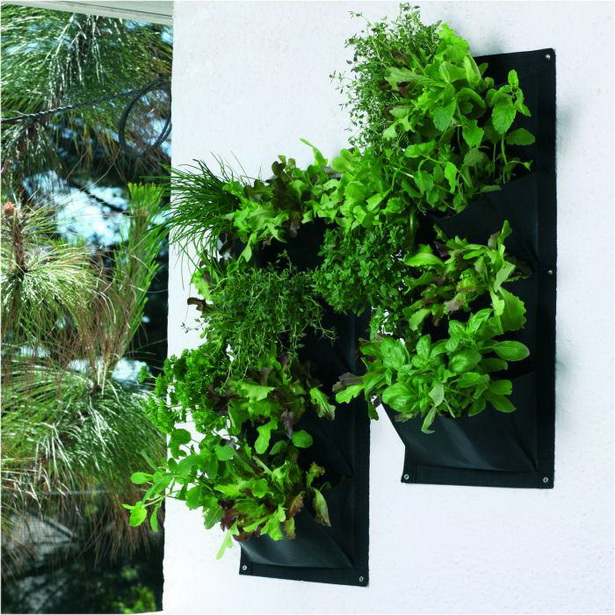 vertical-kitchen-herb-garden-48_17 Вертикална кухня билка градина