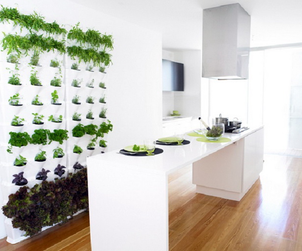 vertical-kitchen-herb-garden-48_4 Вертикална кухня билка градина