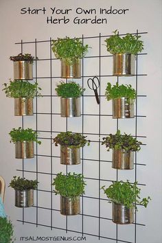 wall-hanging-indoor-herb-garden-48_5 Стена висящи закрит билкова градина