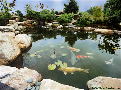 water-garden-pond-kits-85_11 Водни градински езерца Комплекти