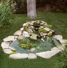 water-garden-pond-kits-85_15 Водни градински езерца Комплекти