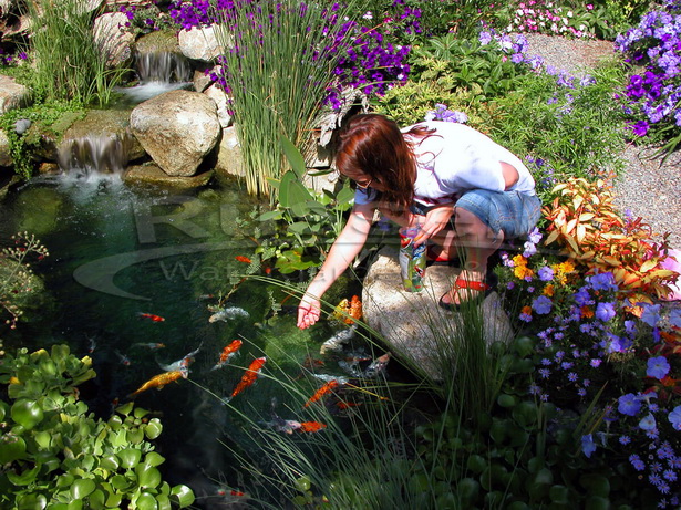 water-garden-pond-kits-85_18 Водни градински езерца Комплекти