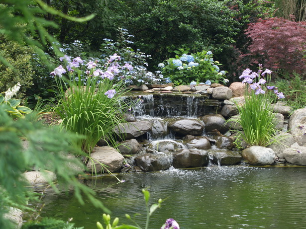water-garden-pond-79_13 Вода градина езерце
