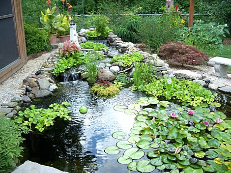 water-garden-pond-79_6 Вода градина езерце