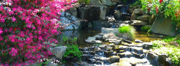water-garden-pond-79_9 Вода градина езерце