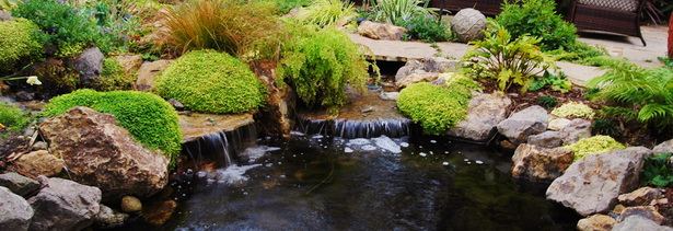 waterfall-koi-pond-design-79_3 Водопад кой езерце дизайн