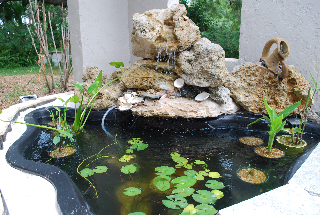 waterfall-pond-feature-70_8 Водопад езерце функция
