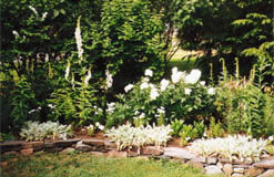white-flower-garden-design-96_14 Бяла цветна градина дизайн