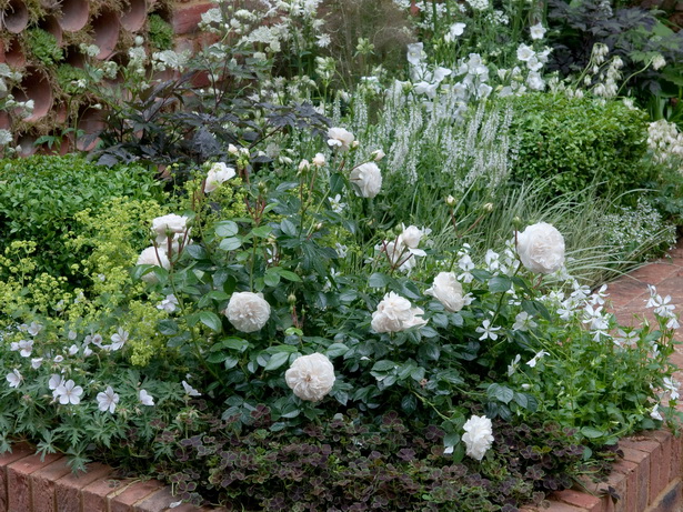 white-flower-garden-design-96_15 Бяла цветна градина дизайн