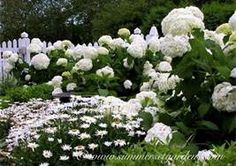 white-flower-garden-design-96_2 Бяла цветна градина дизайн