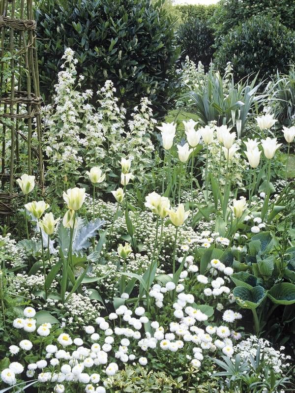 white-flower-garden-design-96_4 Бяла цветна градина дизайн