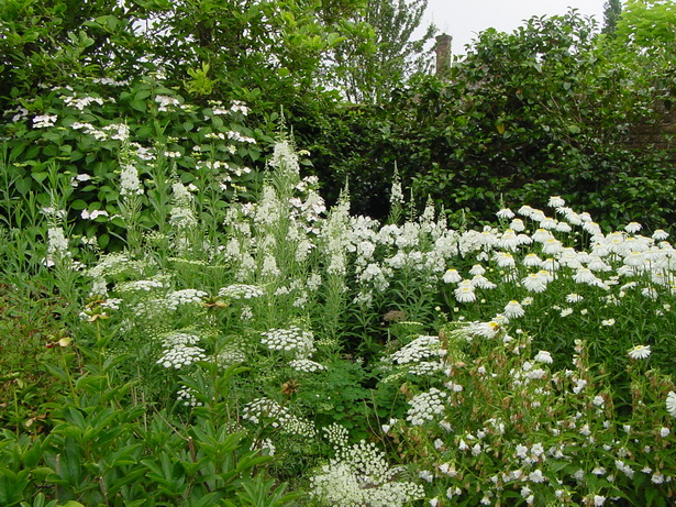 white-flower-garden-design-96_8 Бяла цветна градина дизайн