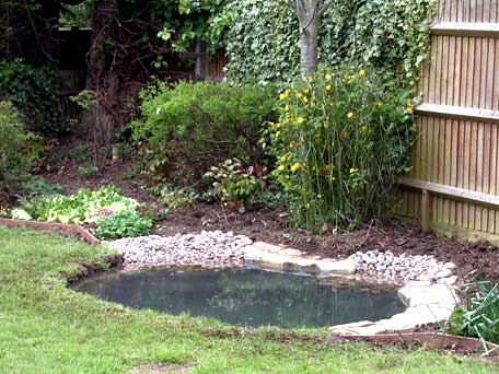 wildlife-garden-pond-design-55_17 Дива природа градина езерце дизайн