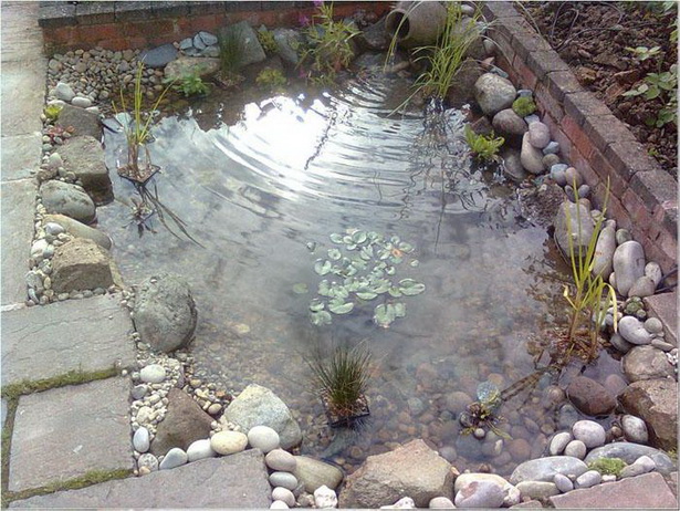 wildlife-garden-pond-design-55_5 Дива природа градина езерце дизайн