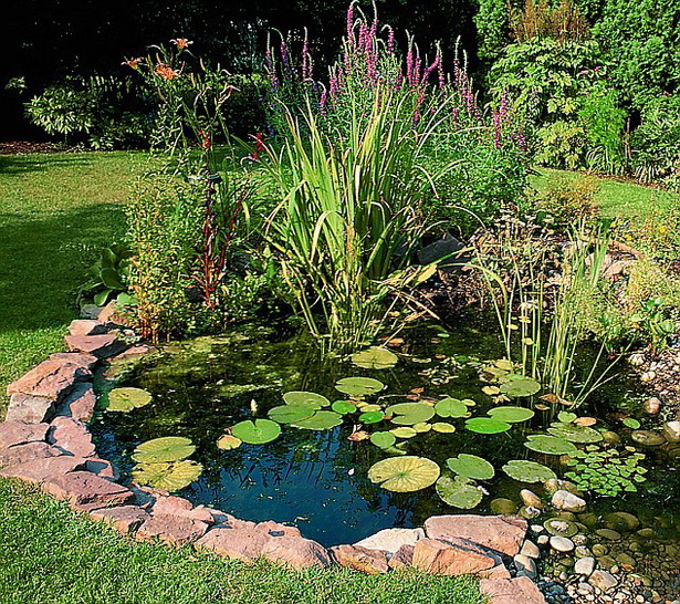 wildlife-garden-pond-17_5 Дива природа градина езерце