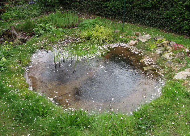 wildlife-ponds-for-small-gardens-96_12 Езера за диви животни за малки градини