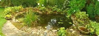 wildlife-ponds-for-small-gardens-96_9 Езера за диви животни за малки градини