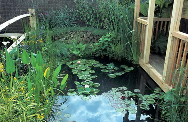 wildlife-ponds-in-gardens-15_14 Езера за диви животни в градините