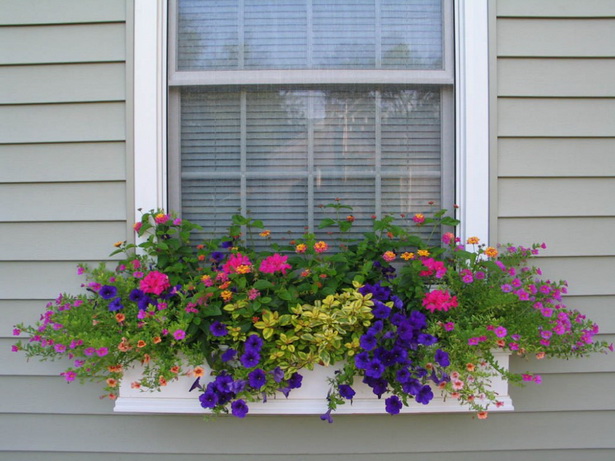 window-flower-bed-52_3 Прозорец цветна леха