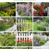 Красива градина ограда идеи