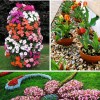 Идеи за декорация на цветни лехи